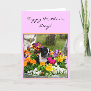 Happy Mother's day Boston Terrier greeting card