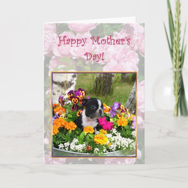 Happy Mother's day Boston Terrier greeting card (Front)