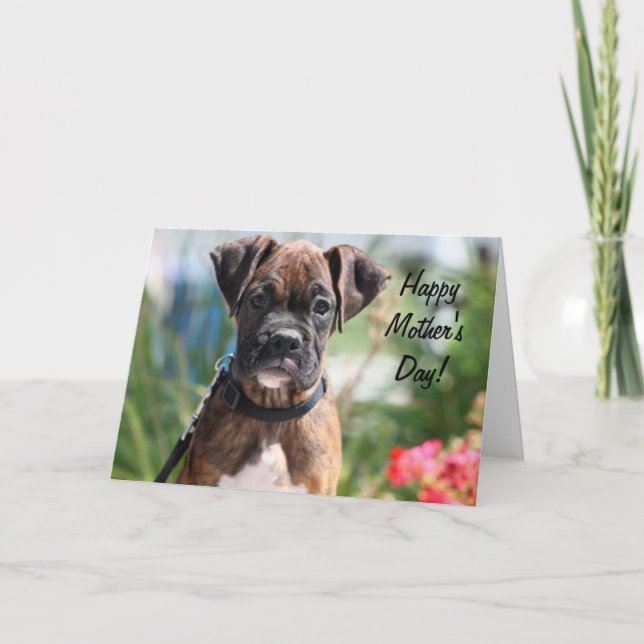 Happy Mother's day boxer greeting card (Front)