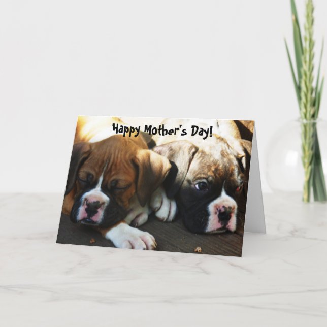 Happy Mother's Day Boxer puppies greeting card (Front)