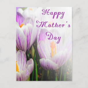 Happy Mother's Day Bright Purple and White Tulips Postcard