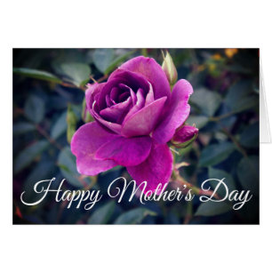 Happy Mother's Day Burgundy Iceberg Rose #2 Card