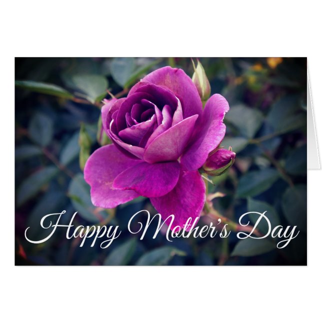 Happy Mother's Day Burgundy Iceberg Rose #2 Card (Front Horizontal)