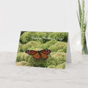 Happy Mother's Day Butterfly Card