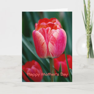 Happy Mother's Day Card