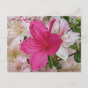 Happy Mother's Day card
