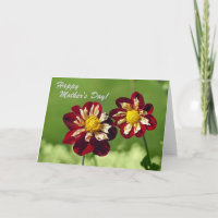 Happy Mother's Day Card