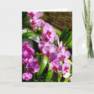 happy mother's day card