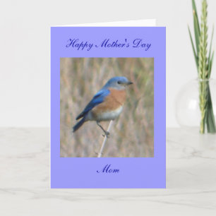 Happy Mother's Day Card