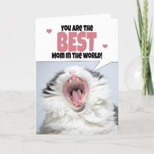Happy Mother's Day Cat Shouting Humour  Holiday Card