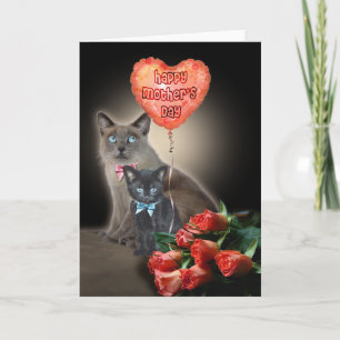 Happy Mother's Day Cats  Card