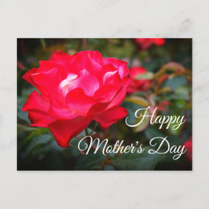Happy Mother's Day Cherry Parfait Rose #2 Postcard
