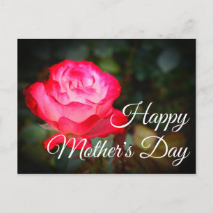 Happy Mother's Day Cherry Parfait Rose #3 Postcard