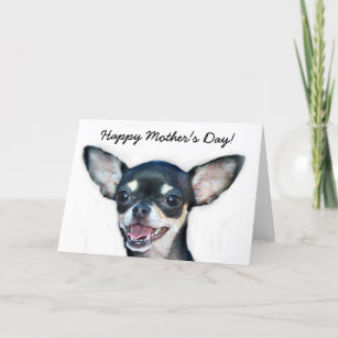 Happy mothers 2024 day chihuahua