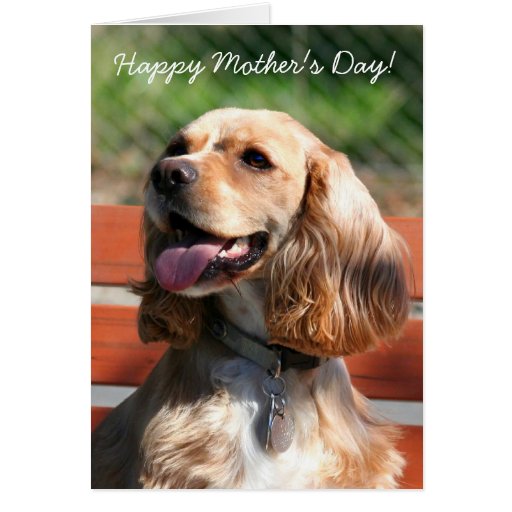 Happy Mother's Day Cocker spaniel greeting card | Zazzle