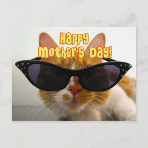 Happy Mother's Day Cool Cat in Sunglasses Postcard