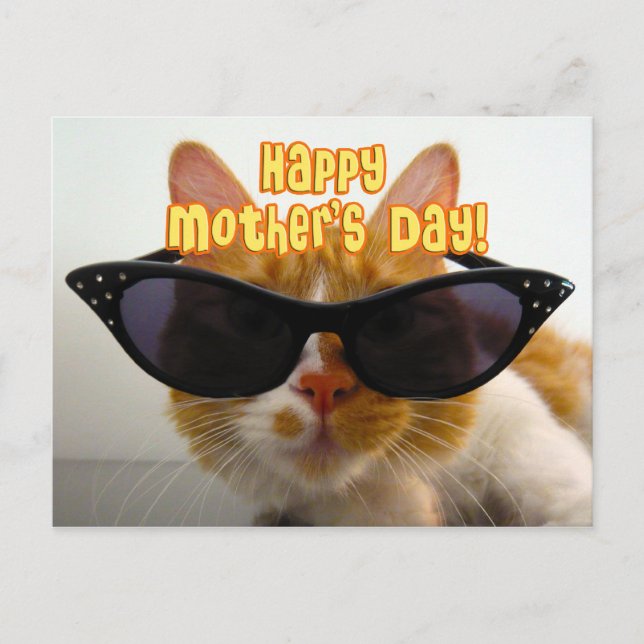 Happy Mother's Day Cool Cat in Sunglasses Postcard (Front)