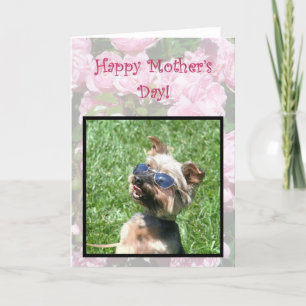 Happy Mother's Day Cool Yorskshire Terrier card