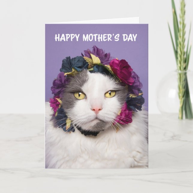 Happy Mother's Day Cute Cat in Flower Crown Humour Holiday Card (Front)