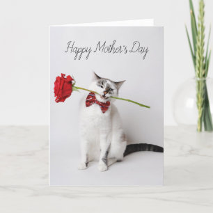 Happy Mother's Day cute cat with yellow flowers Ca Thank You Card