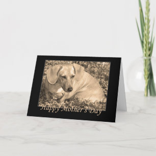 Happy Mother's Day dachshund Sepia Card