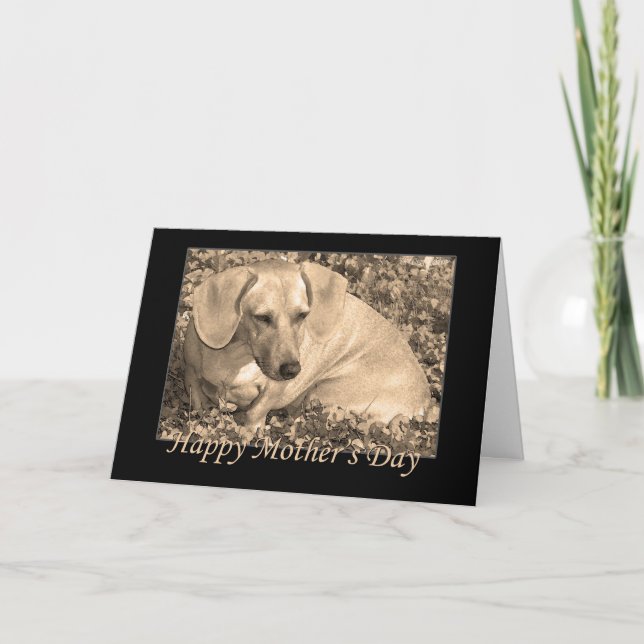 Happy Mother's Day dachshund Sepia Card (Front)