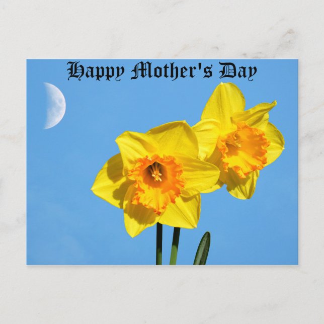 Happy Mother's Day Daffodils Gold Medal flowers  Postcard (Front)