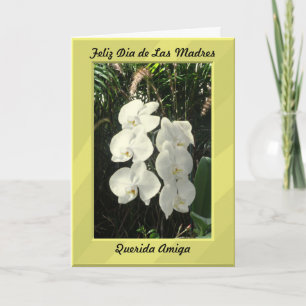 Happy Mother's Day dear friend Card