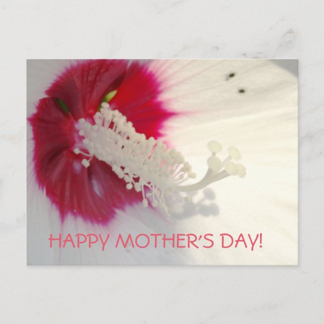 Happy Mother's Day Floral Postcard (Front)