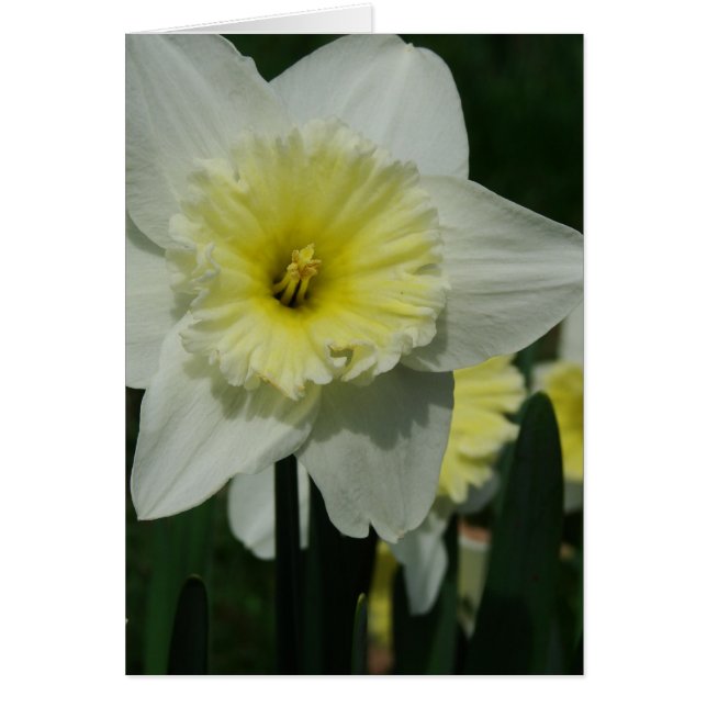 Happy Mother's Day Flower (Front)