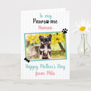 Happy Mother's Day from Dog to Pawsome Mom Card