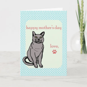 Happy Mother's Day   From the Cat Card