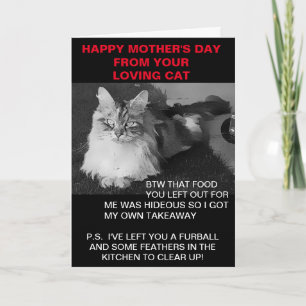 Happy Mother's Day from the cat card