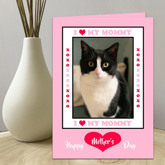Happy Mother's Day from the Cat Card -- Your Photo (Creator Uploaded)