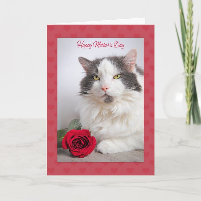 Happy Mother's Day From the Cat Kitty With Rose Holiday Card (Front)