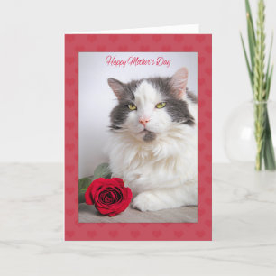 Happy Mother's Day From the Cat Kitty With Rose Holiday Card