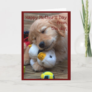 Happy Mother's Day from the Dog Card