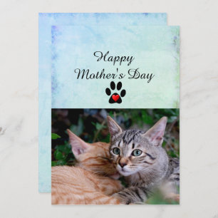 Happy Mother's Day From Your Cats Flat Card