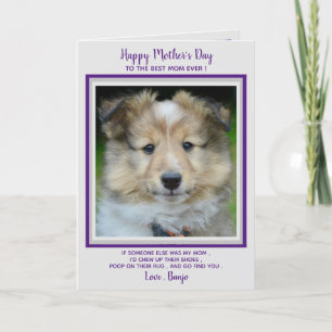 Happy Mother's Day- Funny Cute Dog Mom - Pet Photo Thank You Card