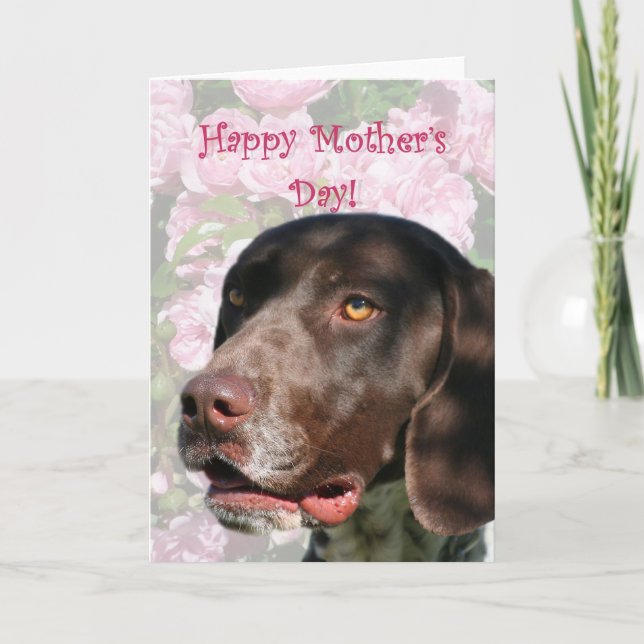 Happy Mother's day German Shorthaired Pointer Card (Front)