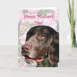 Happy Mother's day German Shorthaired Pointer Card