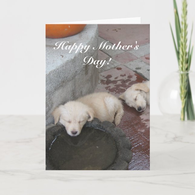 Happy Mother's Day Golden Retriever puppies card (Front)