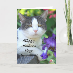 Happy Mother's Day Grandma Cat in the garden card
