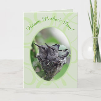 Happy Mother's Day | Hummingbirds in Nest Photo |  Holiday Card