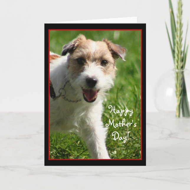 Happy Mother's Day Jack Russell Terrier card (Front)