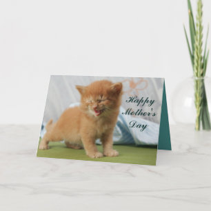 Happy Mother's Day Kitten Card