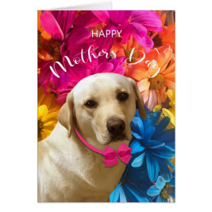 Happy Mothers Day, Labrador, Pet Dog Lover Card 