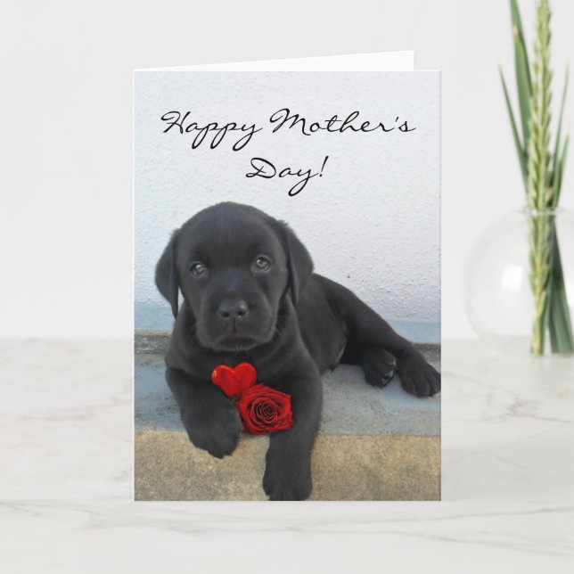 Happy Mother's Day Labrador puppy card (Front)