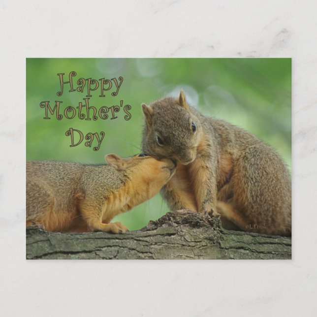 Happy Mother's Day - Mum and Baby Squirrel Postcard (Front)