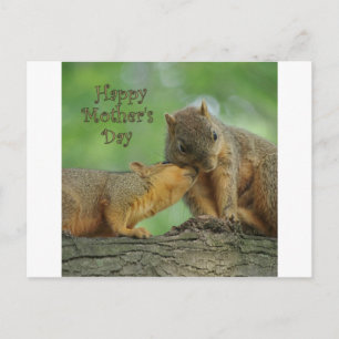 Happy Mother's Day - Mum and Baby Squirrel Postcard